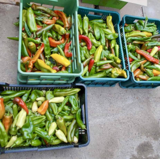 Článek - Hejtman Josef Suchánek navštívil naši školní jídelnu 